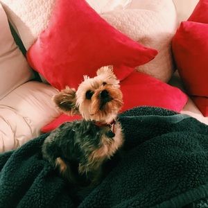 Meet your Posher, Berkley